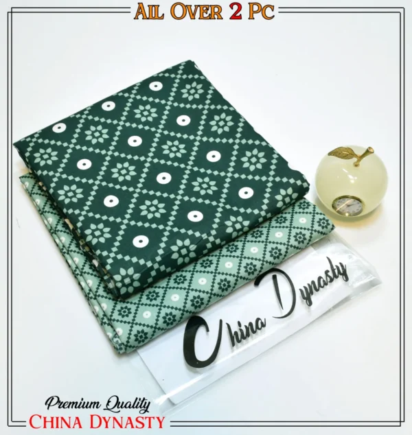 China Dynasty Ba-13